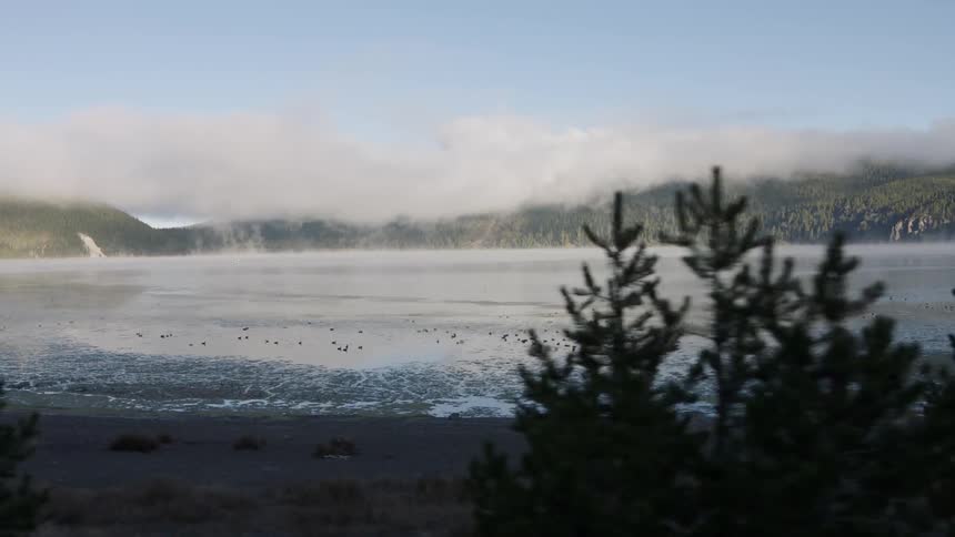 Mist floats above mountains in a forest