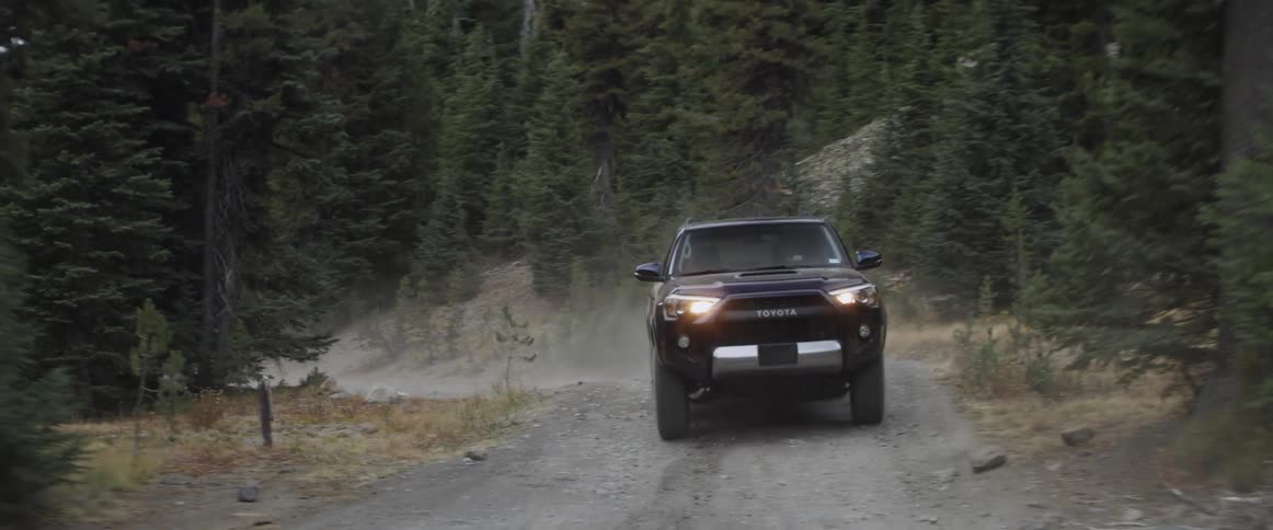 A vehicle drives on a forest road