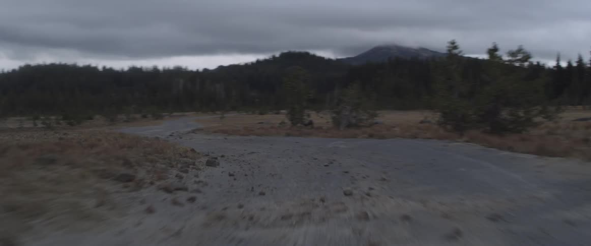 A vehicle drives on a forest road