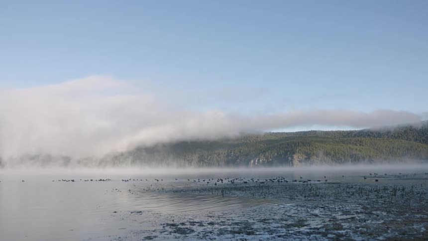 Mist floats above a lake