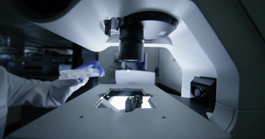 Gloved hands remove then put back a tray under a microscope
