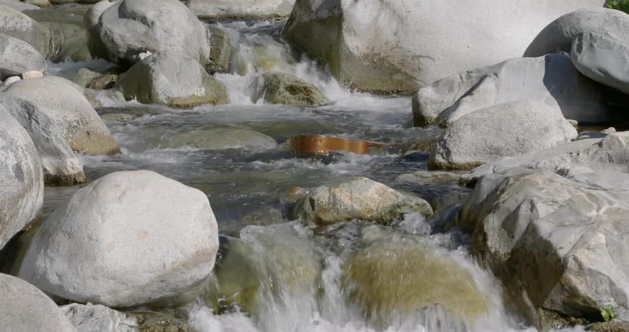 Guitar floats down the creek