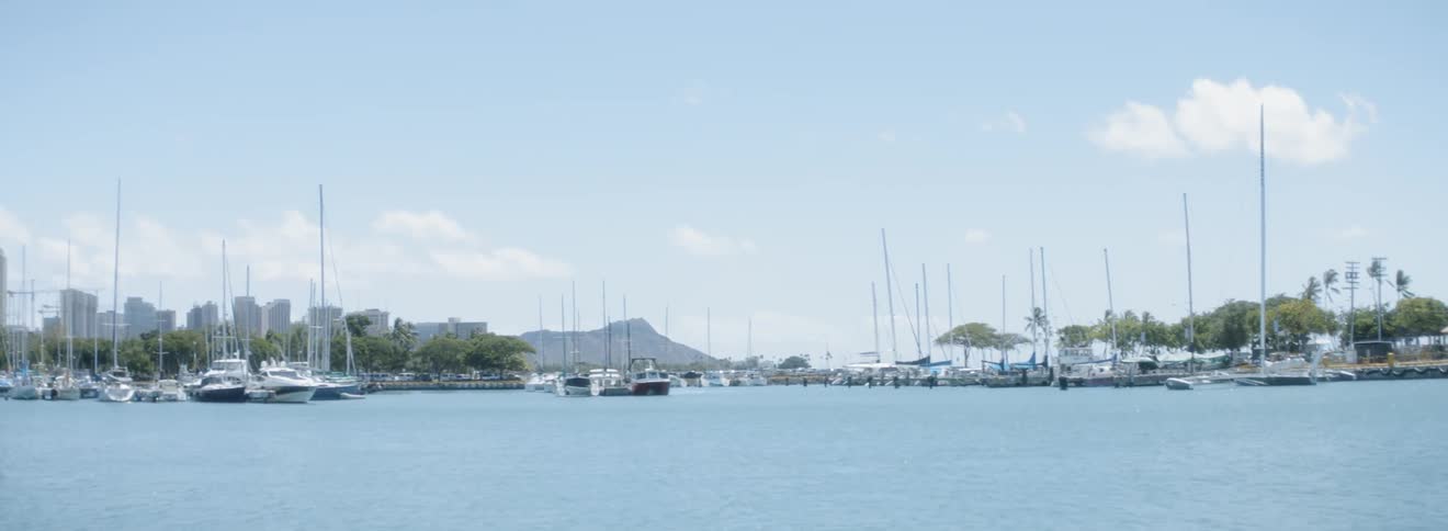 Sailboats are sitting anchored in a bay on a sunny day
