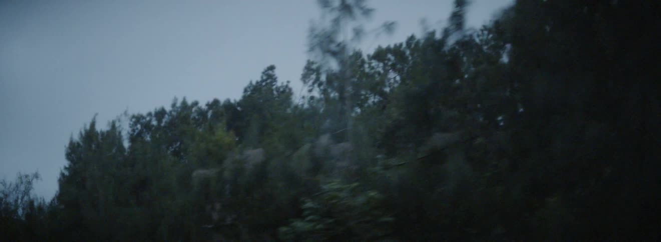 A car travels by trees and a mountain