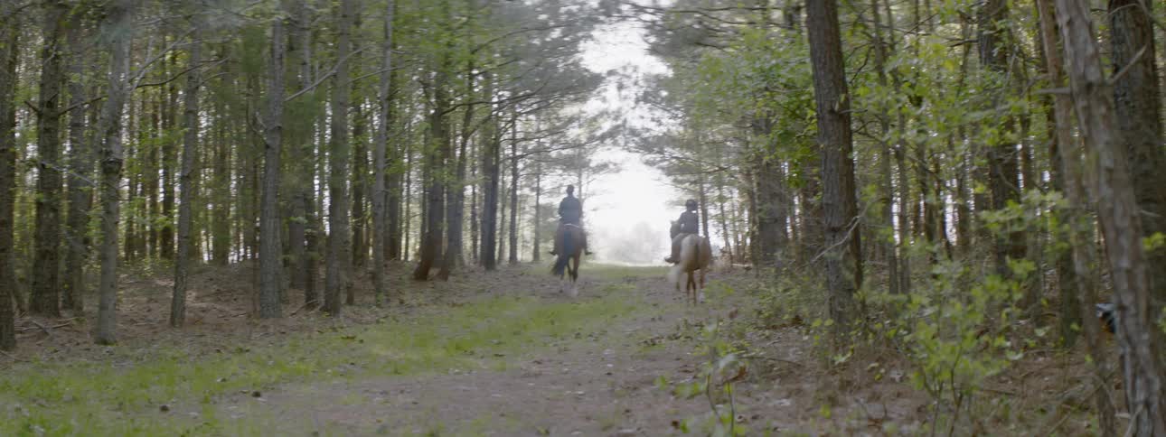 Two people ride horses on a dirt trail