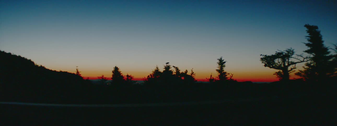 Sunset in the woods
