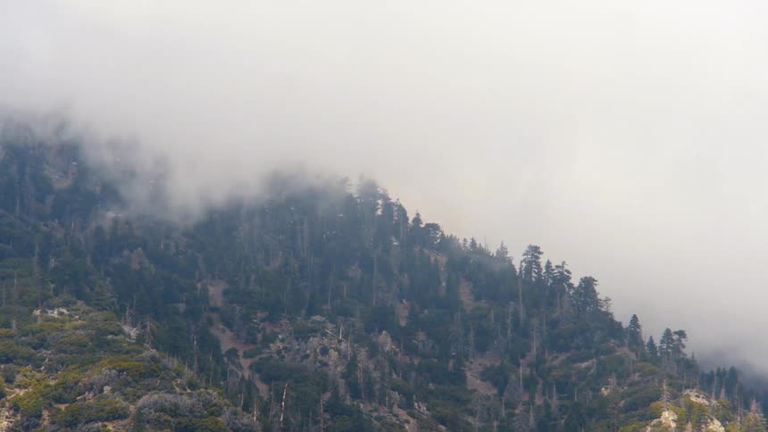 Fog rolling down a hill