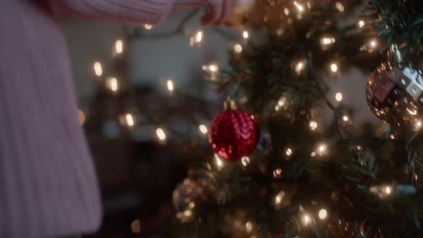 Lights are hung on a christmas tree