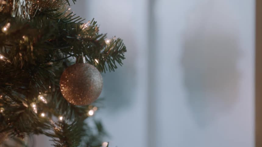 An ornament hangs on a christmas tree