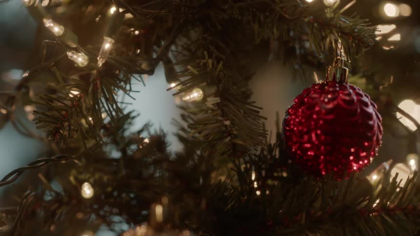 Ornaments on a christmas tree