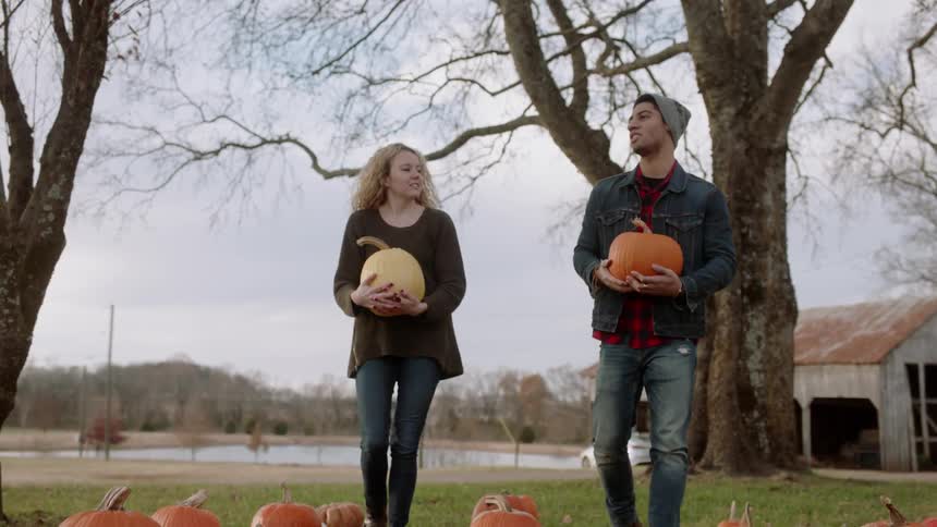 A man and woman carrying pumpkins walk in a field of pumpkins