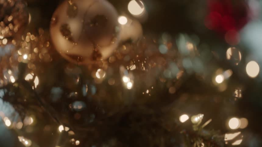 Lights and ornaments hang on a christmas tree