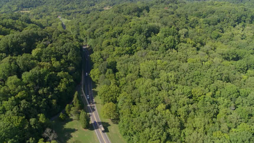 Cars drive down a highway through a forest