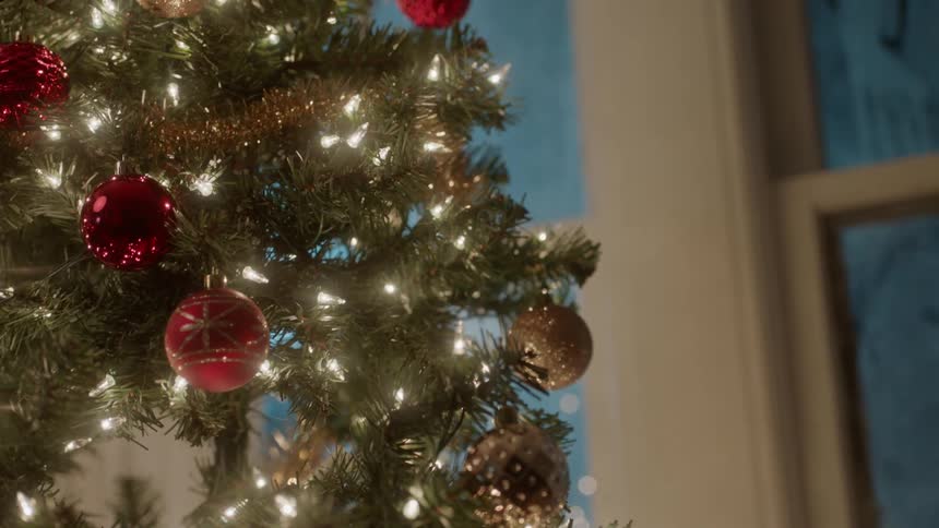 Ornaments hang on a christmas tree