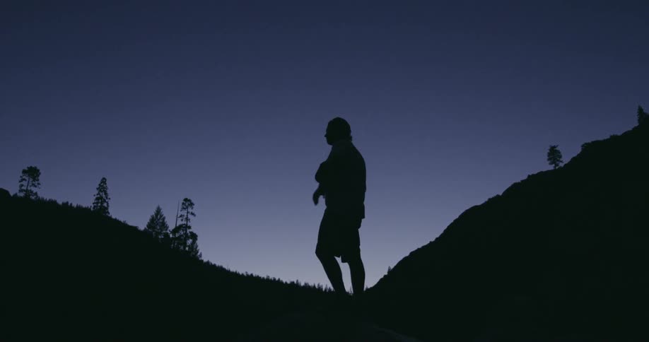 A silhouetted hiker stands on a hillside at dusk
