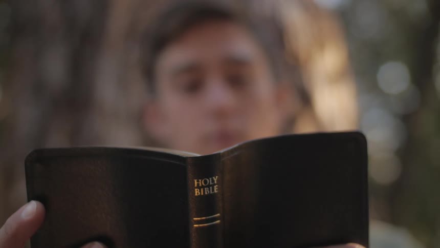 A person reading a book