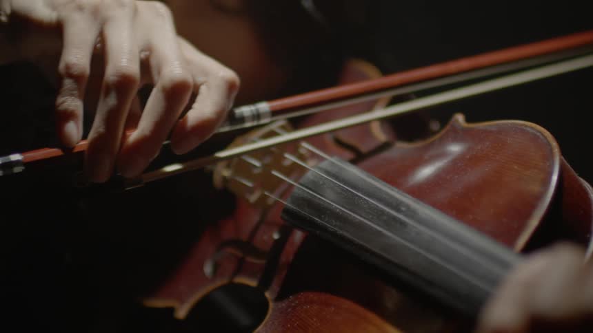 A musician plays a violin