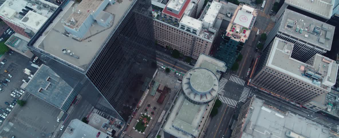 Skyscrapers stand in a city