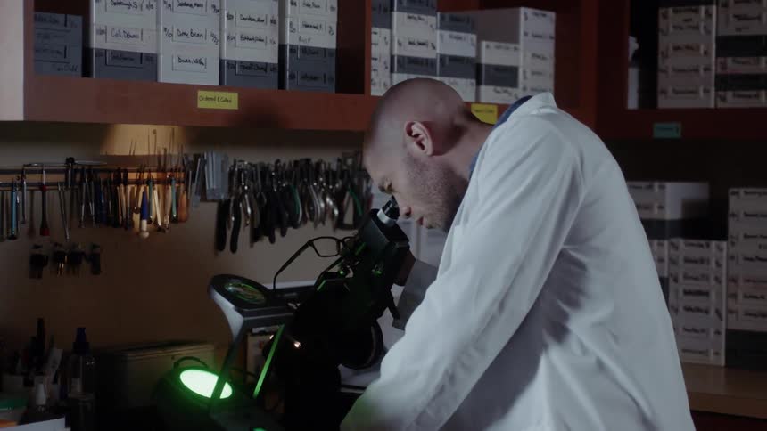 A man looks through a microscope while holding his glasses