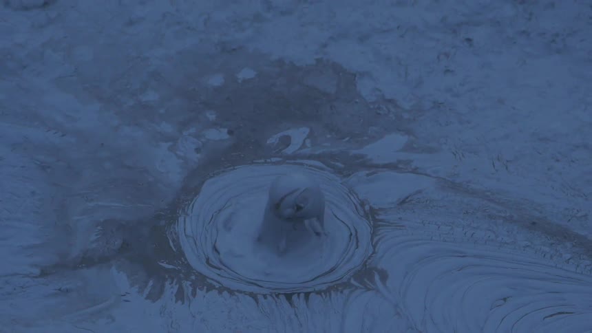 Bubble in a think liquid