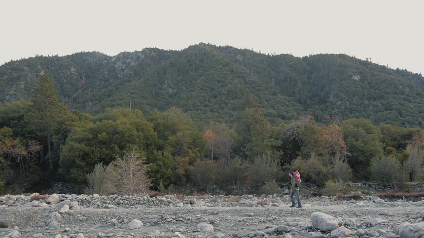 A man hikes through the woods
