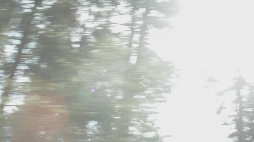 Passing quickly by trees