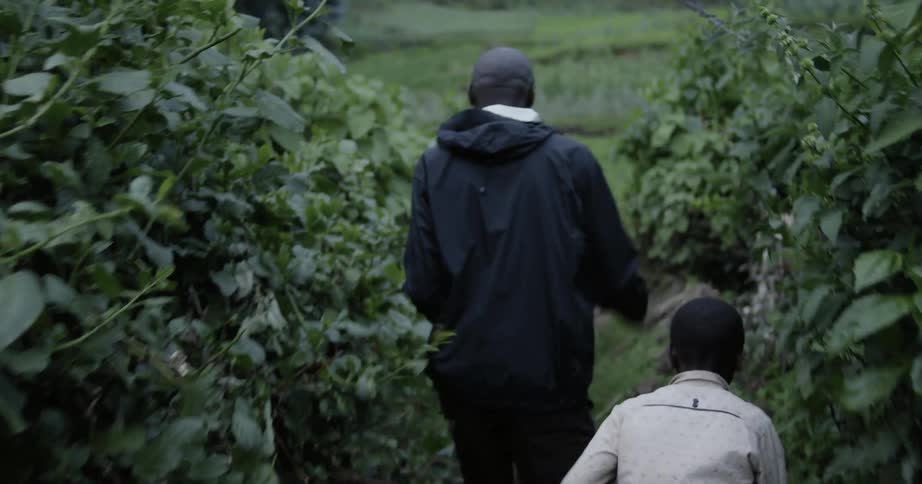 A man and boy walk through thick vegetation