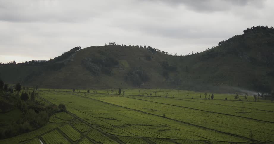 Clouds float above a rural field