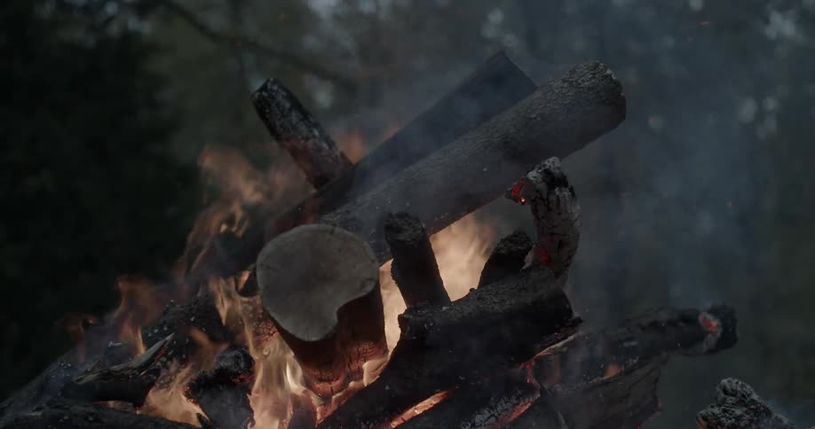 A campfire burns in the woods