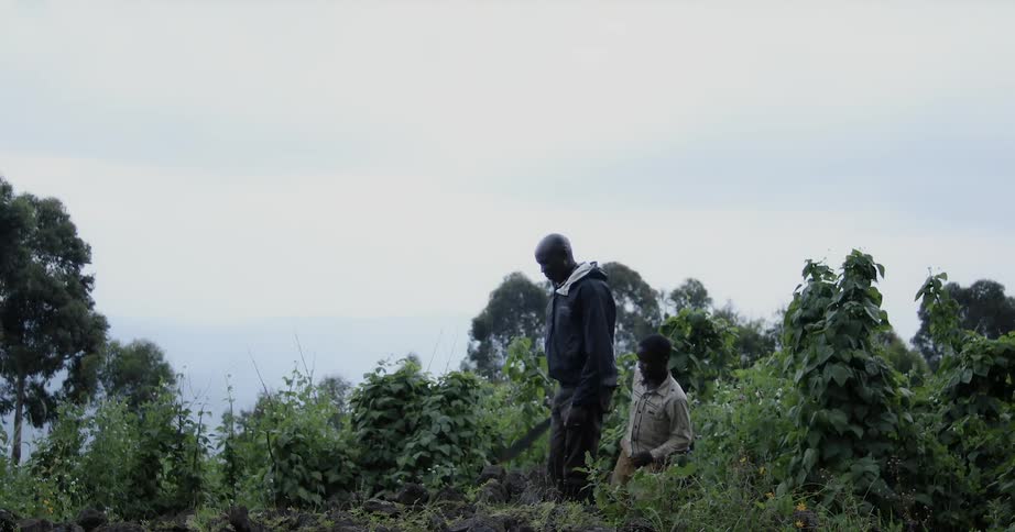 Man and child walk on a path in a wooded area