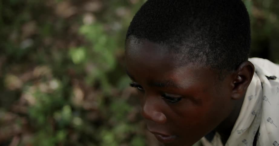 Boy leans over and gathers foliage in a dense forest