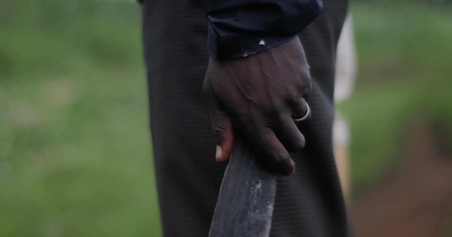 A man is standing outside holding a machete
