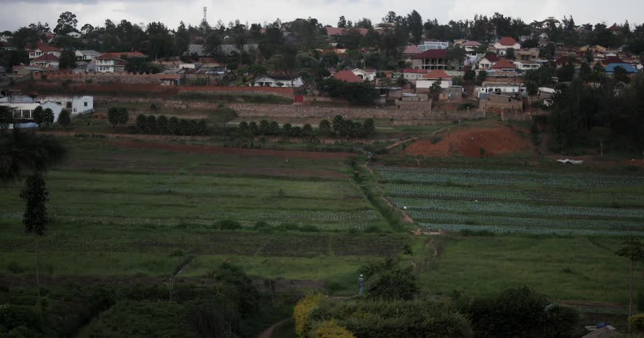 Houses sit near a field