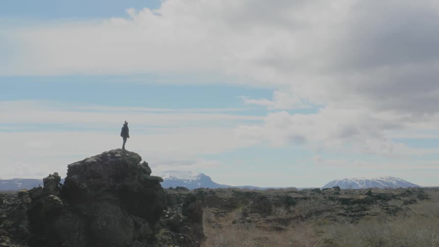 A person stands on a large rock in the middle of the wilderness