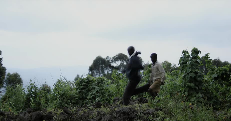 Man and boy walk through dense foliage