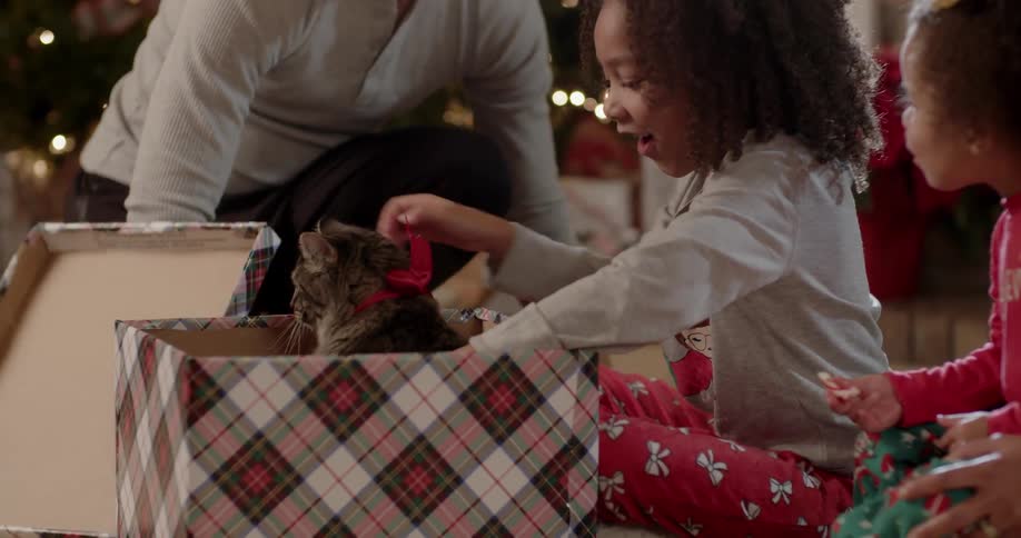 A girl lifts a cat out of a gift box on christmas day