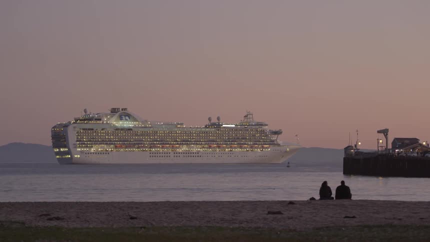 A cruise ship off in the distance