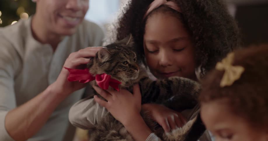 A girl hugs a cat that has a red bow around its neck