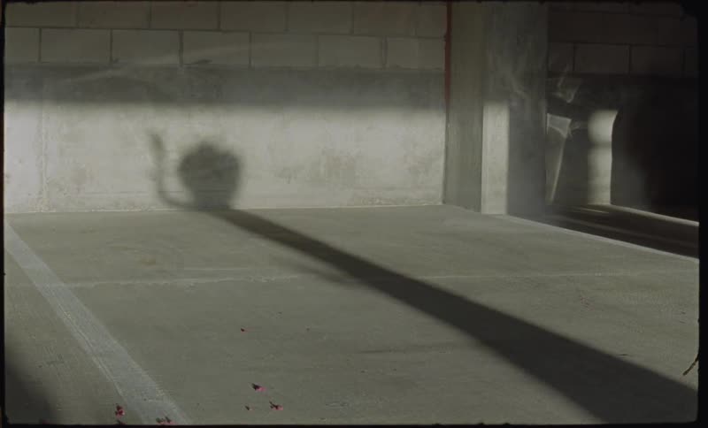 A woman is shadow dancing