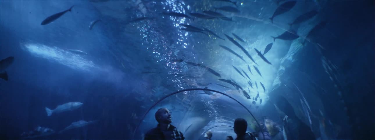 People stand in an aquarium tunnel