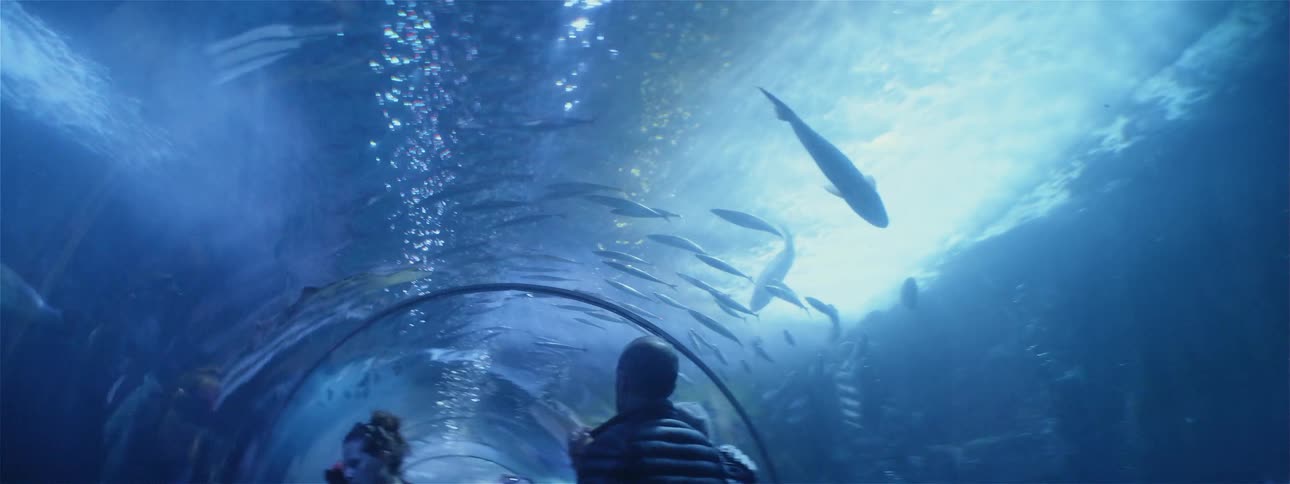 People walk in a water tunnel in an aquarium