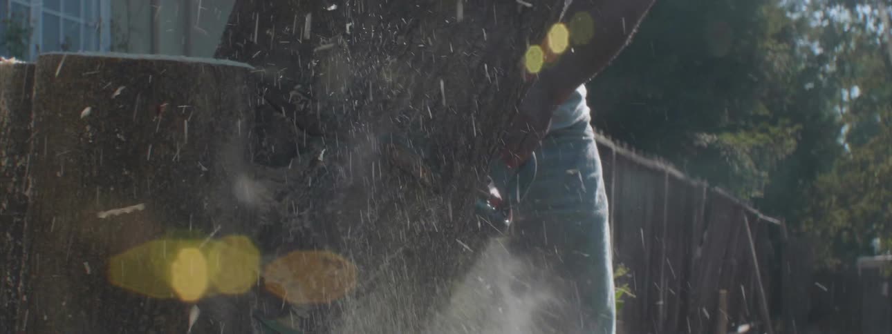 A man cuts down a tree with a chainsaw