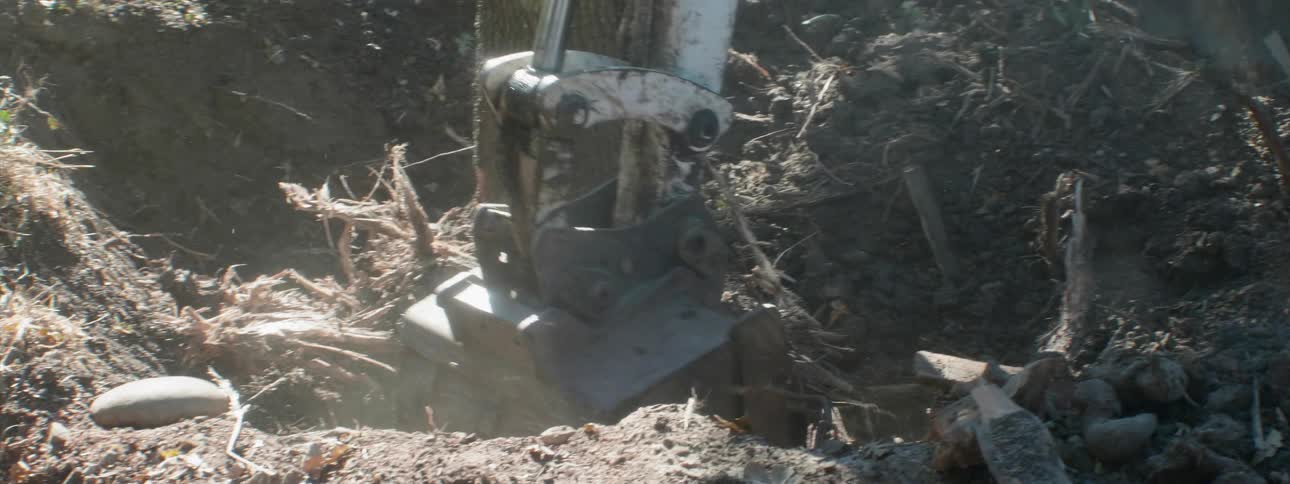 An excavator digs around a tree stump