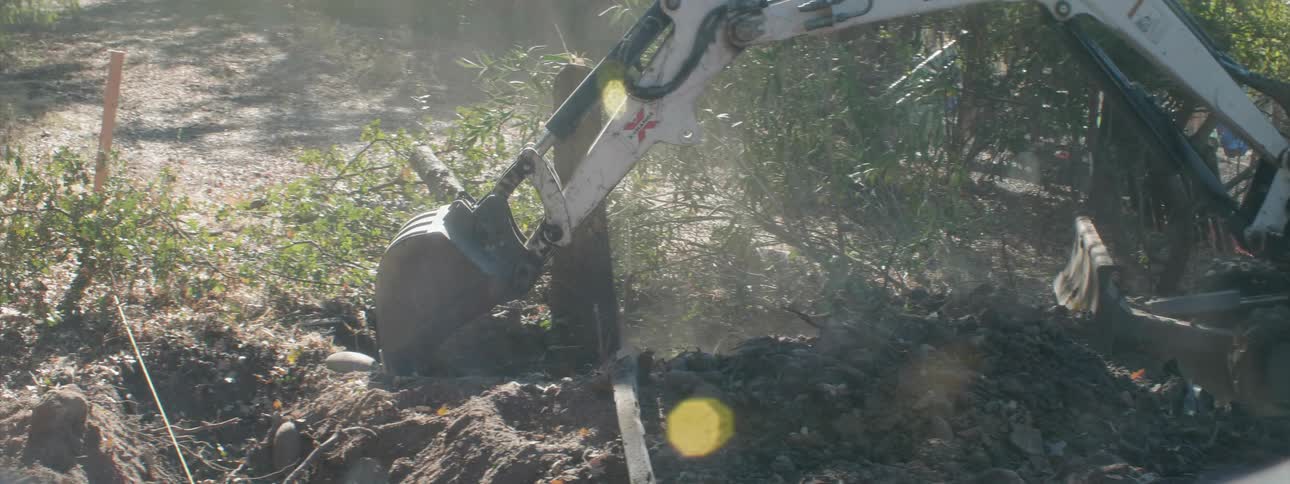 An excavator digs up and moves the dirt around a tree stump