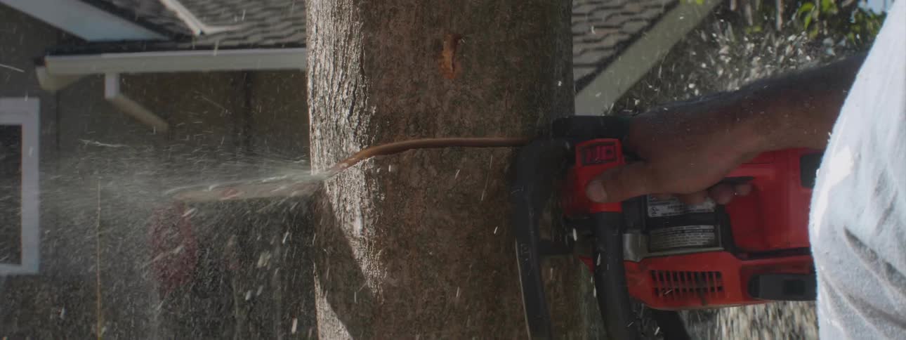 A person is using a chainsaw to cut through a tree