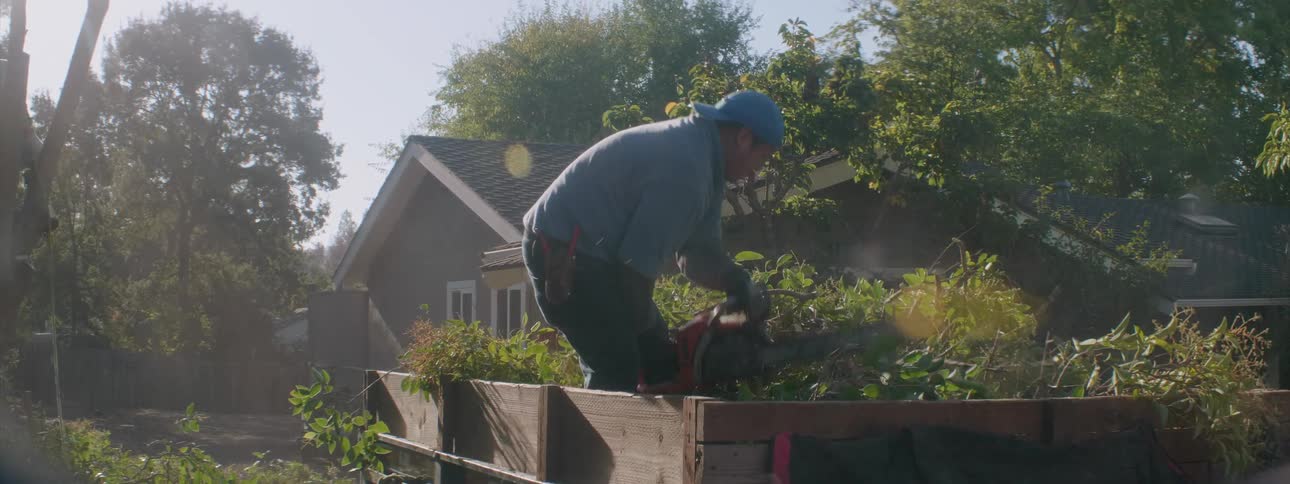 A man cuts tree branches with a chainsaw