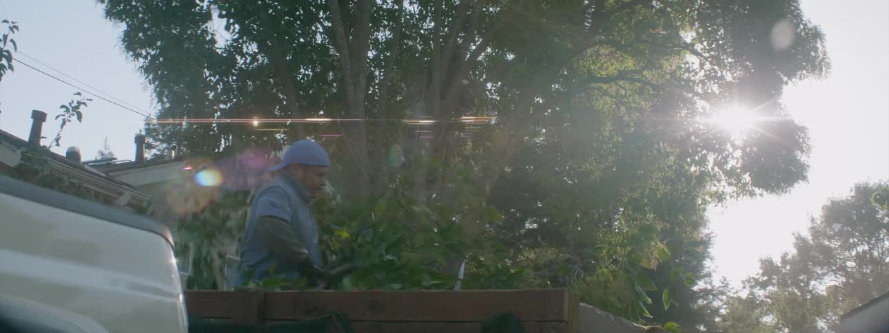 A worker loads cut down tree branches into a trailer