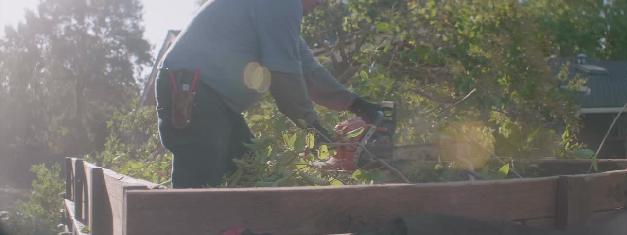 A worker cuts tree branches with a chainsaw