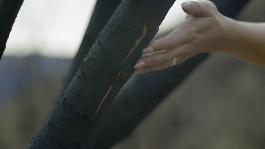 A woman touches a tree branch and walks by