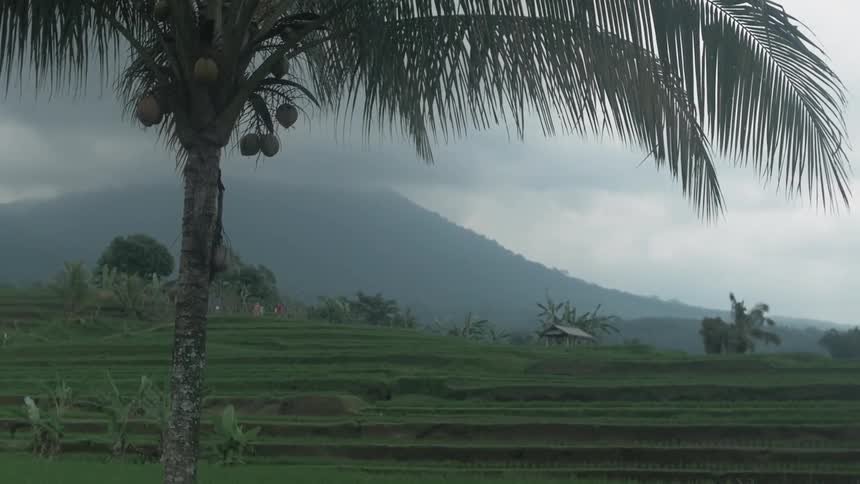 Clouds roll over a mountain in a tropical climate